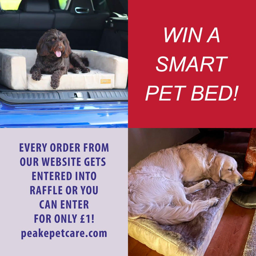 RAFFLE: WIN A SMART PET BED