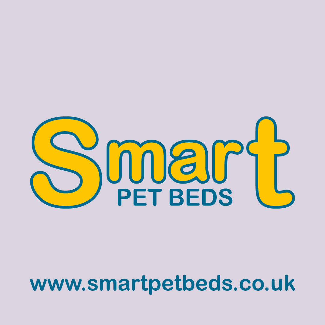 Smart Beds